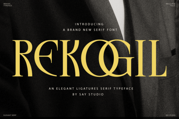Rekogil Font Review: Elegant Serif for Branding